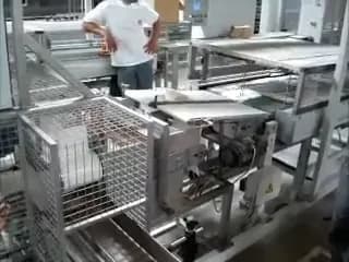 Ladyfinger Packaging from Flow-Pack (Bakery Sector), video still
