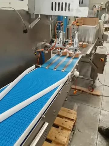 Tray Aligner (Conveyor Systems), video still