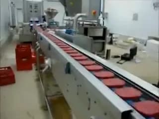 Steak Patty Freezing Line (Meat Industry), video still